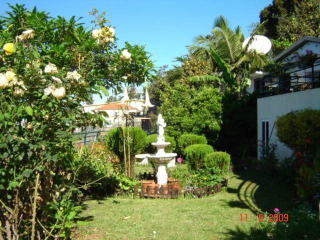 Apartamentos Jardim Funchal  Bagian luar foto