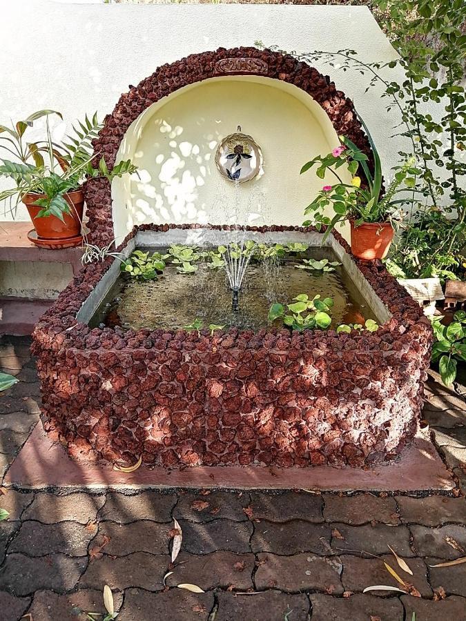 Apartamentos Jardim Funchal  Bagian luar foto